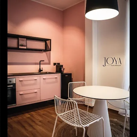 公寓 Joya Apartment's - *